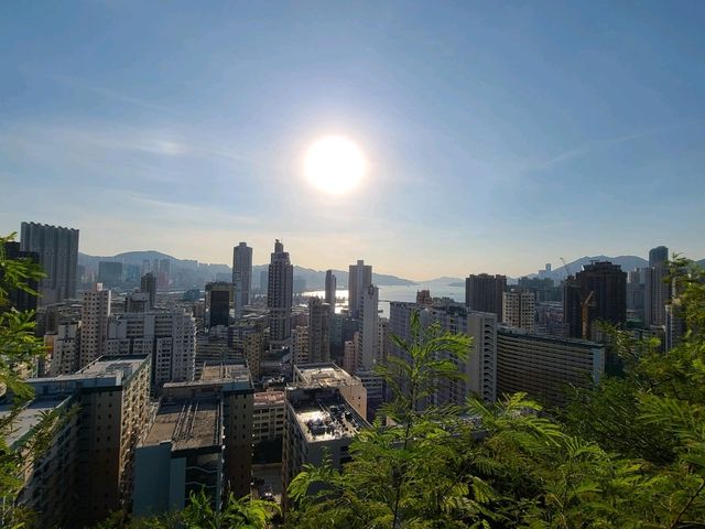 【市區快閃登頂~紅燈山🚨】