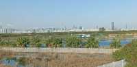 Hong Kong Wetland Park - Wetland and Marshes