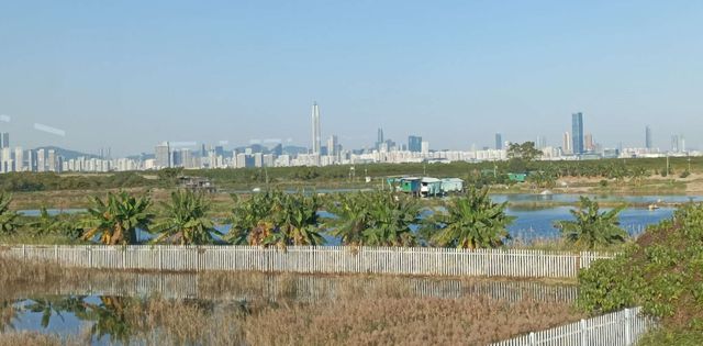 Hong Kong Wetland Park - Wetland and Marshes