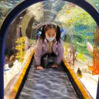 🦈🐠롯데월드몰 아쿠아리움에서 물고기 먹이주기🐬🐳