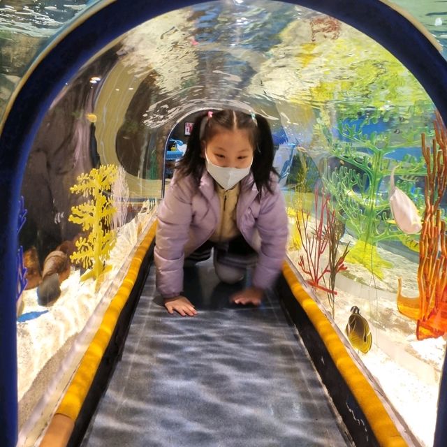 🦈🐠롯데월드몰 아쿠아리움에서 물고기 먹이주기🐬🐳