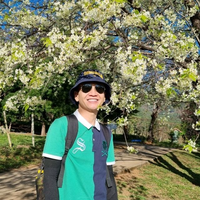 ดอกนางพญาเสือโคร่ง ขุนวาง