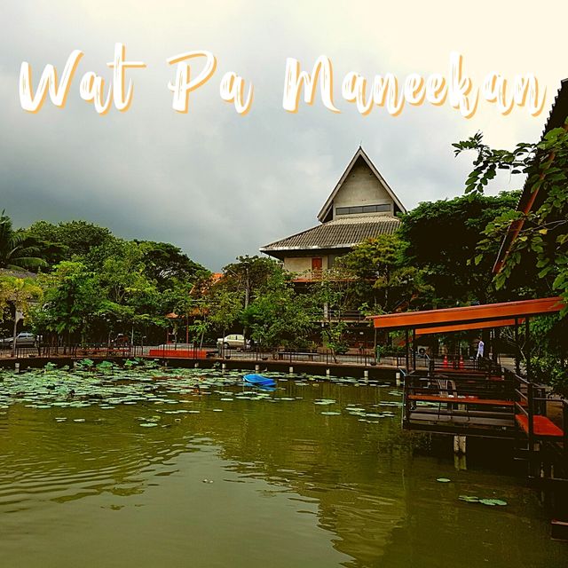 🏰 วัดป่าใจสวยสงบสุดๆ
