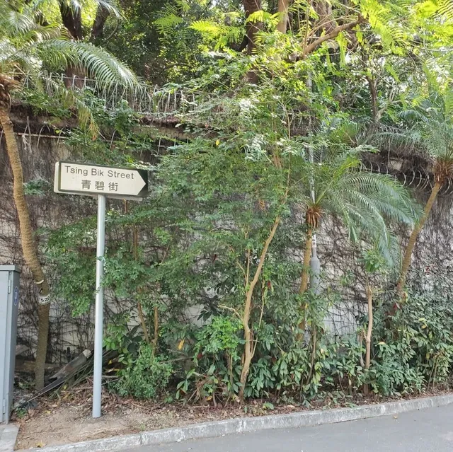 遇見了美的地方，嘉道理碼頭