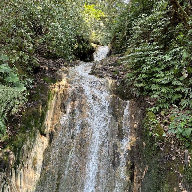 Yangmingshan National Park