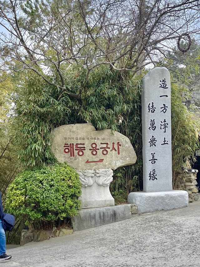 부산 기장 해동용궁사 부산여행에 꼭 넣으세요❣️