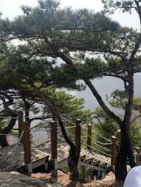 초보도 충분히 등산할 수 있는 서울 근교 광교산 형제봉 코스 ⛰️