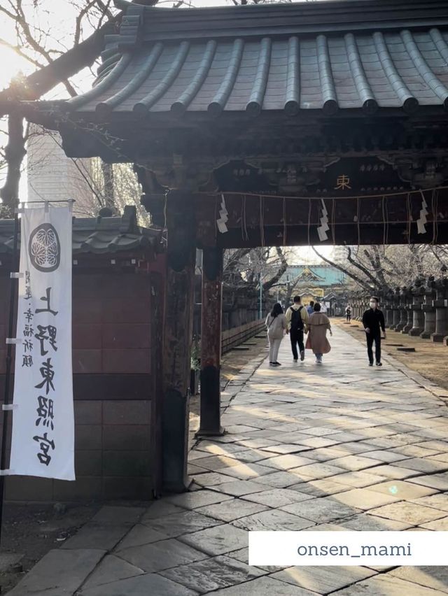 【東京 上野】桜の時期におすすめ🌸上野公園お散歩👣