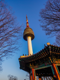 南韓必到迷人景點🗼首爾塔