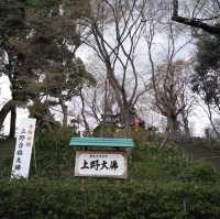 上野恩賜公園