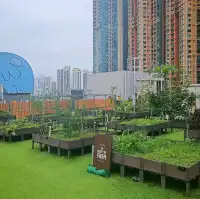 Rooftop Farm in the City