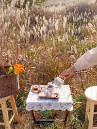 황금빛 억새로 물든 가을 황매산🌾