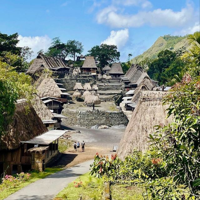 Bena Traditional Village, Flores
