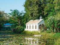 Rice Field Home Farm Stay & Cafe ที่พัก ร้านอาหาร 