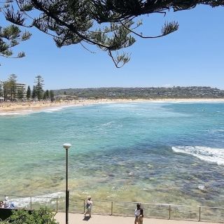 Dee Why Beach 