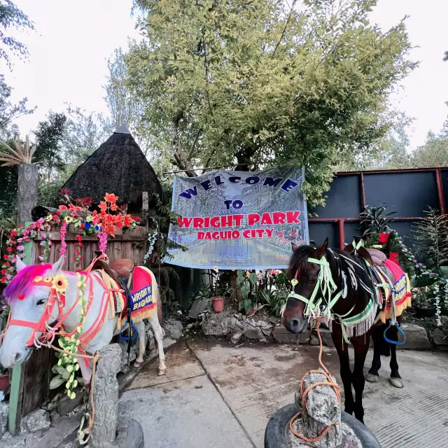 Horse riding in Baguio