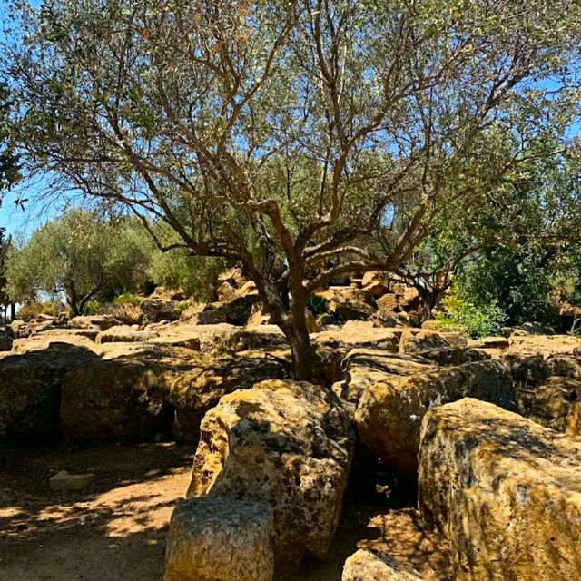 @ VALLE DEI TEMPLI IN SICILY!