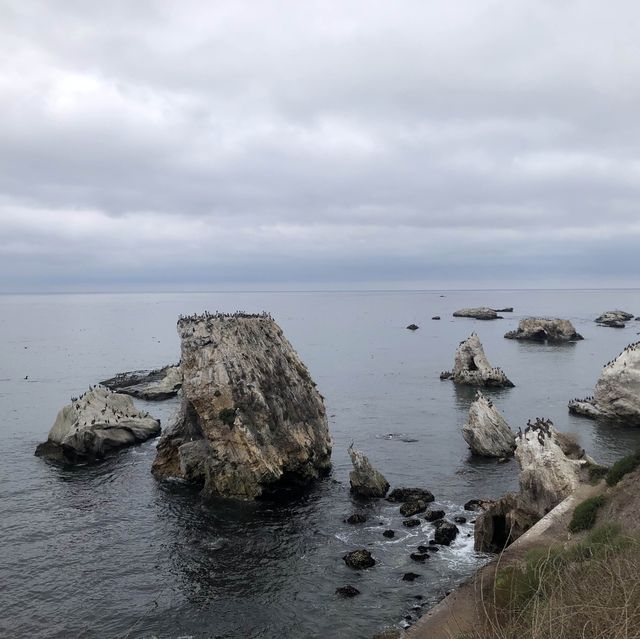 Pismo Beach - Your escapade to Heaven 