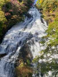 주젠지코,센조가하라트레킹 15km