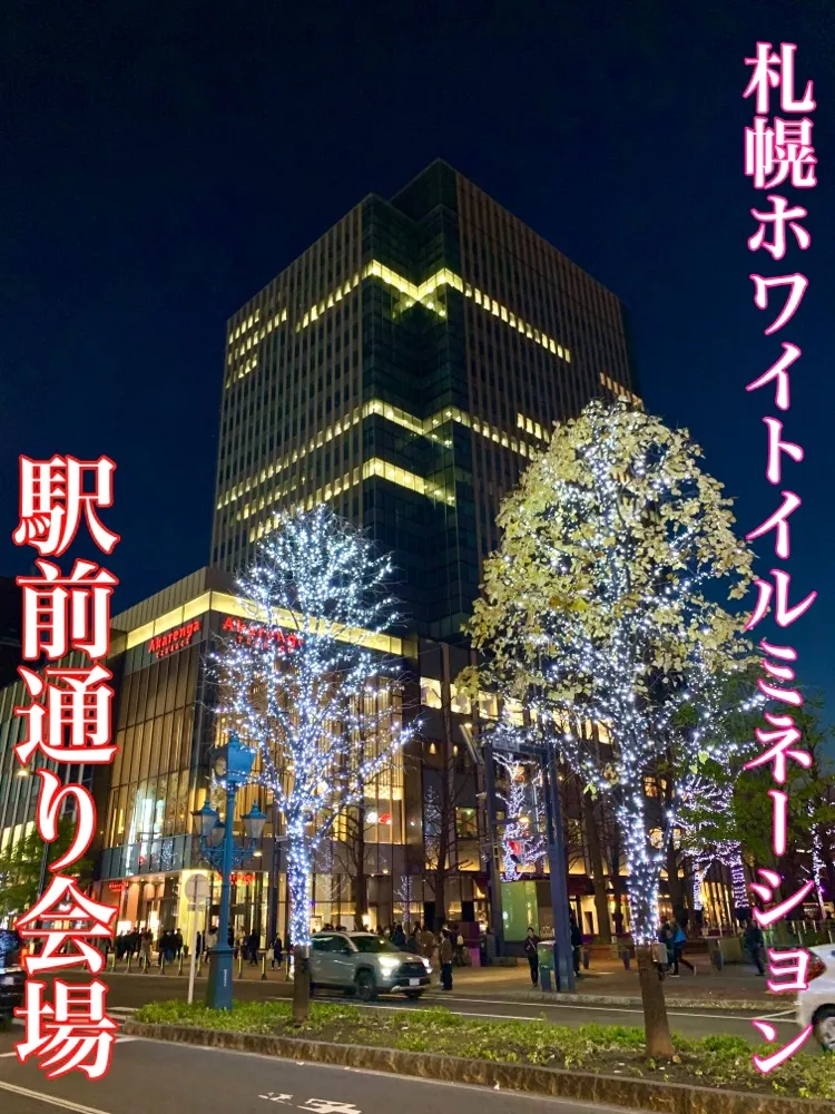 北海道札幌觀光 札幌車站街的燈飾很美！