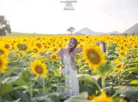 🌻ทุ่งทานตะวัน🌻@ไร่มณีศร