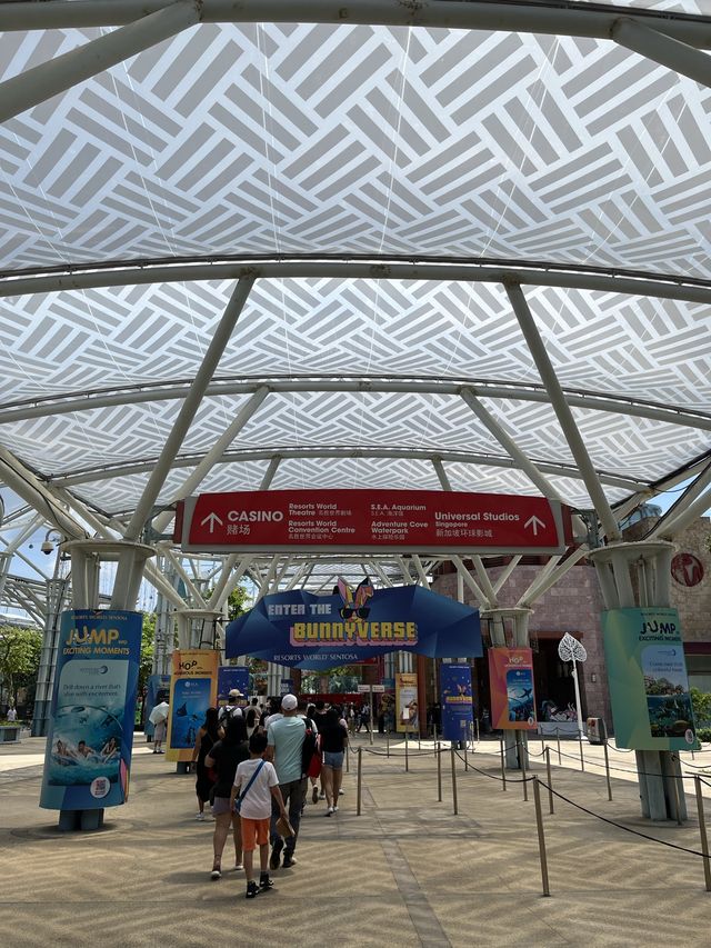 🇸🇬新加坡全世界最小的環球影城🐾懸掛式雲霄飛車🎢真刺激！