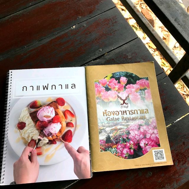 Dining in flower paradise