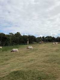 ウェロビー自然動物園／メルボルン