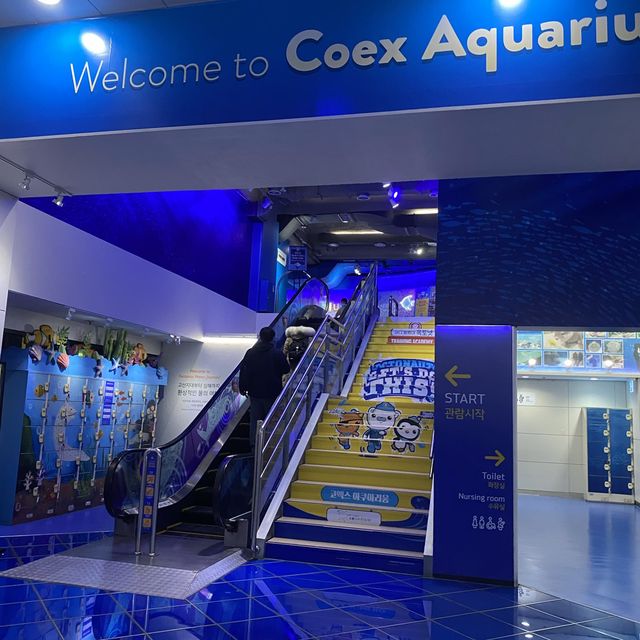 Spectacular aquarium in Korea