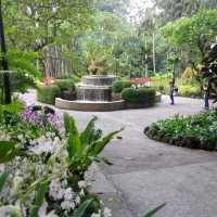 Discovering the Beauty of Nature