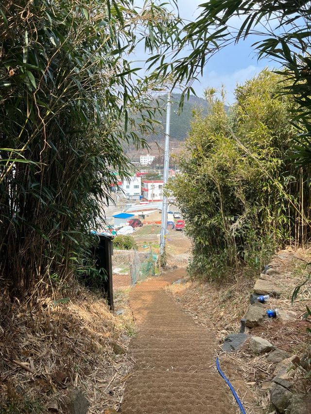 거제도여행에서 꼭 가봐야할 인생샷명소🤍 거제 구조라성