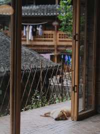 Few days in traditional Dong village