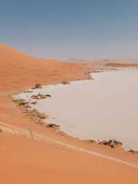 Deadvlei Nambia - Frozen in time