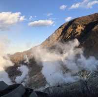 箱根大涌谷🌋 硫磺火山口♨️必嚐黑玉子🥚遠眺富士山🗻