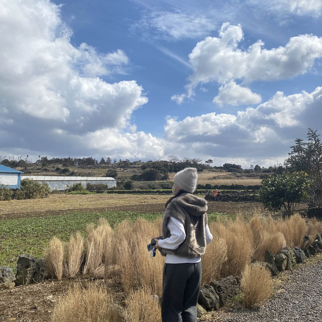 🧡제주도 감성돋는 이에르바 카페🧡
