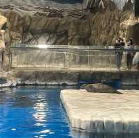 海洋公園：北極之旅