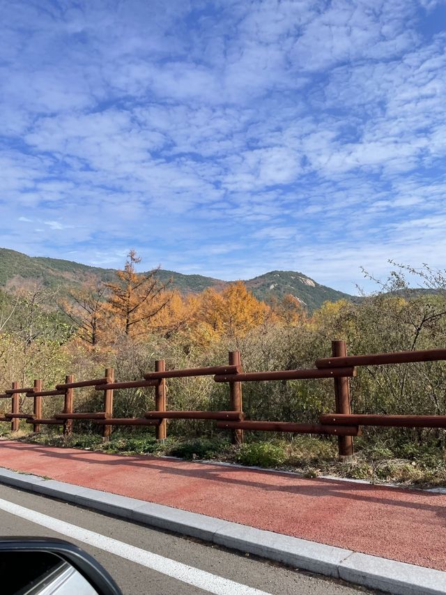 가을에는 억새느낌으로 분위기있게🌾