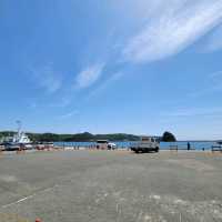 【伊豆】黒船、山、海、海鮮丼！