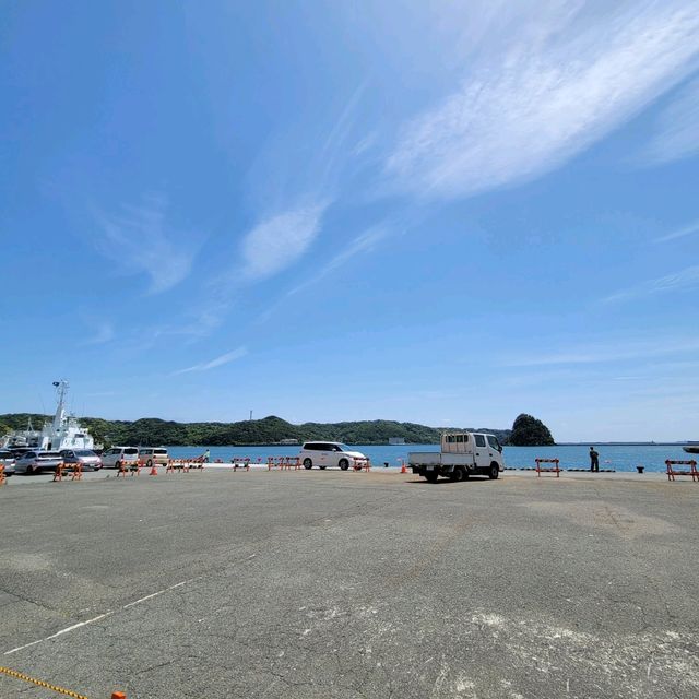【伊豆】黒船、山、海、海鮮丼！