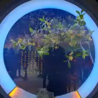 桂花公社的參觀的個人感受