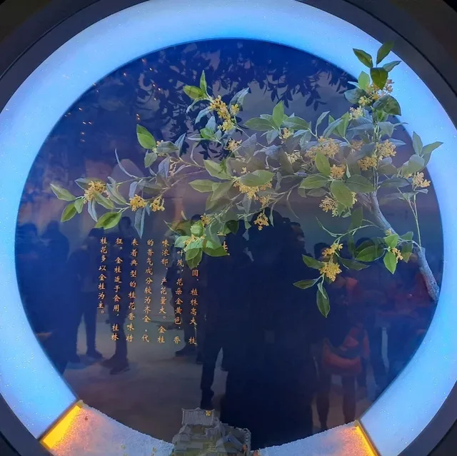 桂花公社的參觀的個人感受