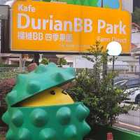 Eat- Eat Durian @ DurianBB Park, Imbi KL