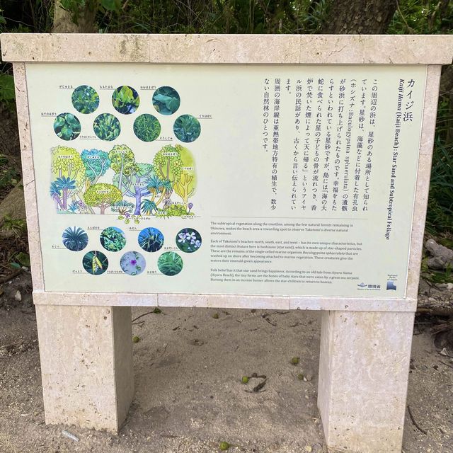 沖縄離島・竹富島「カイジ浜（星砂浜）」自然林のトンネル抜けて行くビーチ