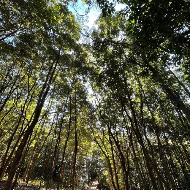 布袋澳釣魚翁郊遊徑🤭2小時遙望清水灣❤️輕量級行山路線