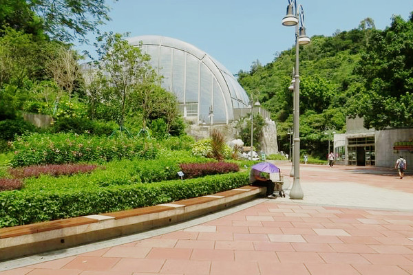 Macao Giant Panda Pavilion | Trip.com Macau