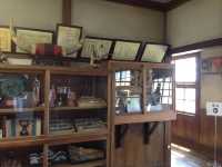 北海道　北海道観光　礼文島で絶対外せない観光スポット　北のカナリアパークに行ってきた！　
