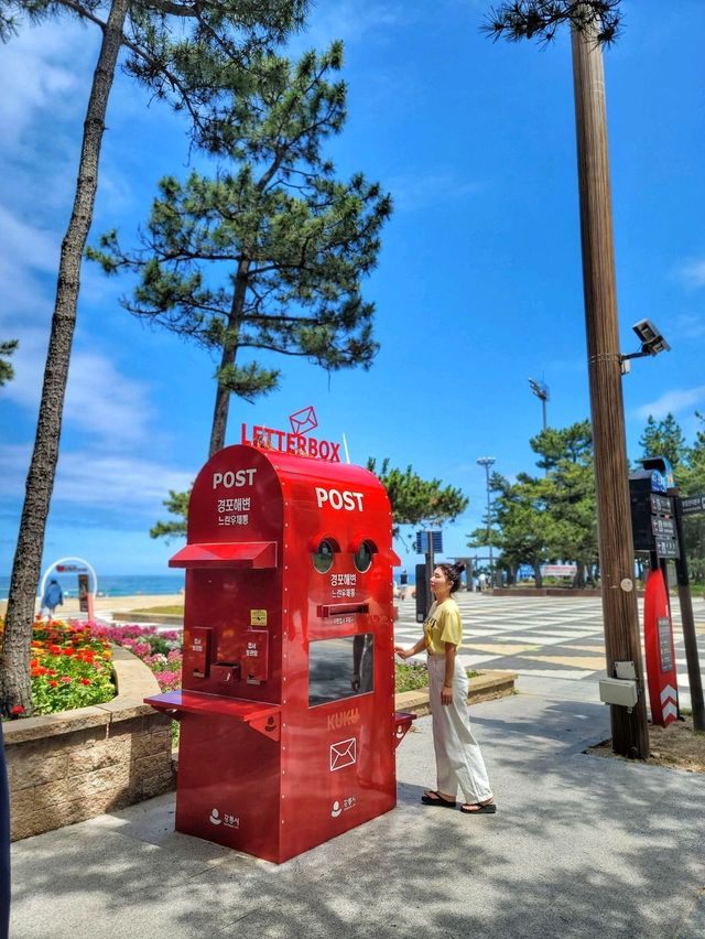 동해안 최대 해변은 바로 여기! 경포해변🏖