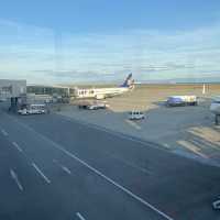 スカイマーク搭乗記【那覇→神戸空港】
