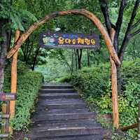 韓國景點📸天空公園🥰親親大自然⭐打卡熱點😍