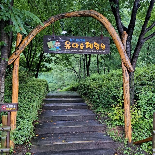 韓國景點📸天空公園🥰親親大自然⭐打卡熱點😍